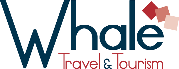 Whale travel and tourism